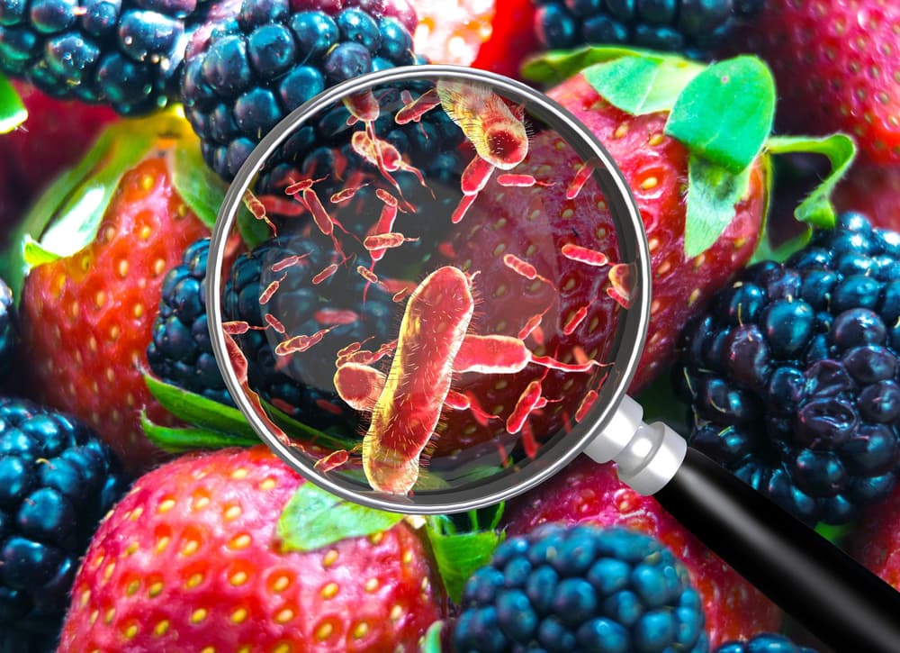  Bakterie z gatunku Listeria monocytogenes na owocach
