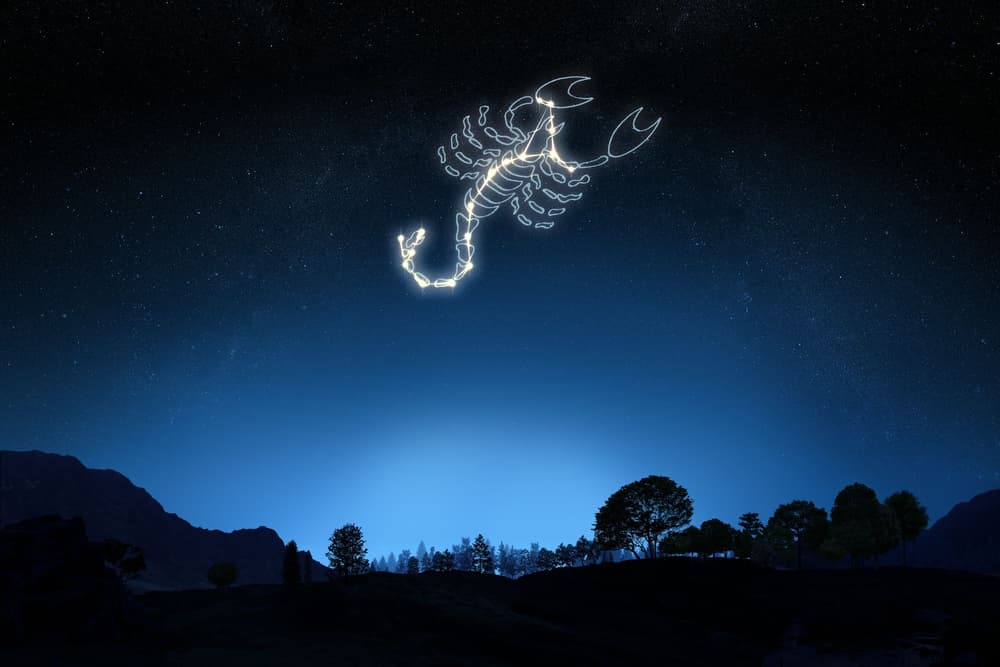 Skorpion – znak zodiaku, data i charakterystyka