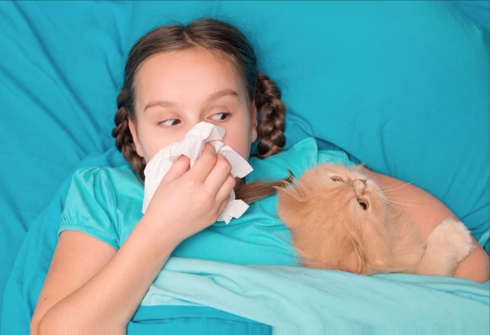 Alergia na sierść (alergia na kota i uczulenia na psa u dziecka) – przyczyny, objawy, leczenie Alergia na sierść (alergia na kota i uczulenia na psa u dziecka) – przyczyny, objawy, leczenie