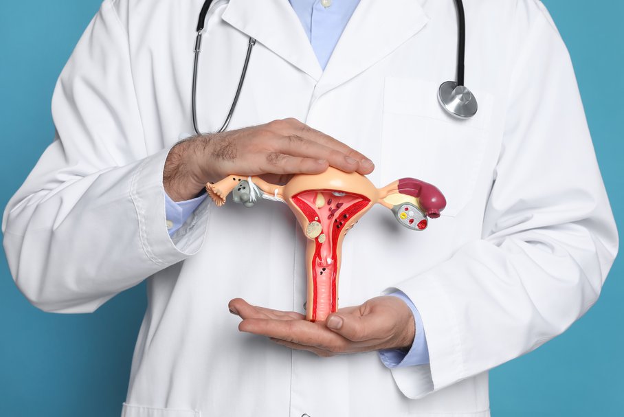 Lekarz pokazujący model żeńskiego układu rozrodczego.