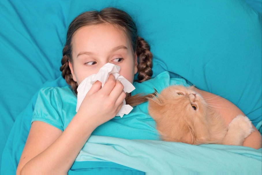 Alergia na sierść (alergia na kota i uczulenia na psa u dziecka) – przyczyny, objawy, leczenie