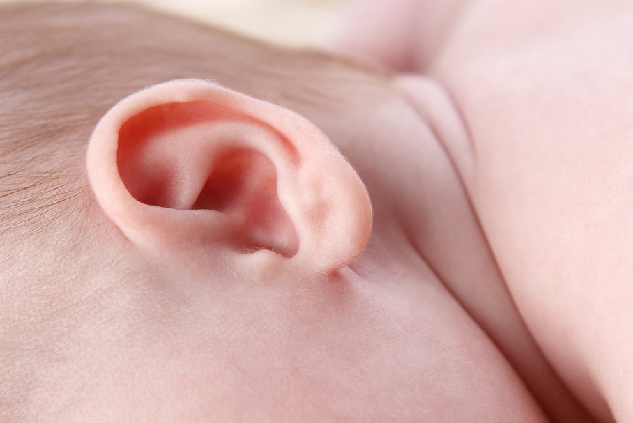 Ucho noworodka.